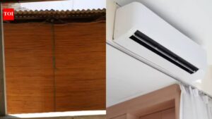 Vetiver curtains vs Air conditioners: Which is better for summer?