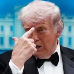Threat or theatre? Trump assassination bid case turns into political noir