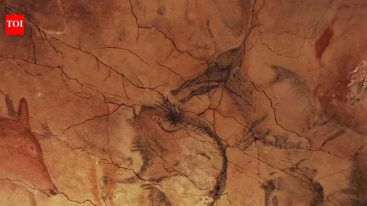 In 1868, a local hunter wandered through the hills and accidentally discovered a prehistoric cave hidden for thousands of years.