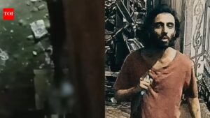 Guard’s desperate cries caught on camera as ‘lone wolf’ stabbing unfolds near Mumbai; chilling video surfaces | Mumbai News