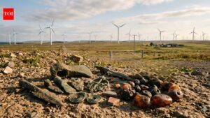 Wind turbine workers struck a 3,000-year-old treasure and revealed a glittering hoard of Bronze Age jewellery.