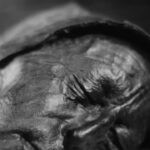 In 1950, a routine cut through a Danish bog revealed a face so fresh it looked alive until it was dated to 300 BCE.