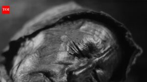 In 1950, a routine cut through a Danish bog revealed a face so fresh it looked alive until it was dated to 300 BCE.