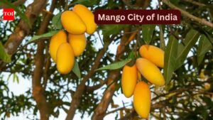 Mango City Of India: Why May is the best time to visit the “Mango City of India” and how to reach here