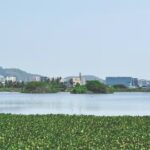 Discover Nanmangalam Forest This May: Your Weekend Nature Adventure Awaits? | chennai news