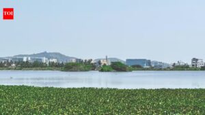 Discover Nanmangalam Forest This May: Your Weekend Nature Adventure Awaits? | chennai news