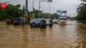 Haryana to conduct flood mock drill on May 14 across 13 vulnerable districts including Gurgaon and Faridabad. Gurgaon News