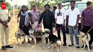 Abandoned Husky found dead, 5 rescued, ’30 missing’ | India News