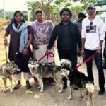 Deserted in the Sun: One Husky found dead on Hyderabad outskirts, 5 rescued | Hyderabad News