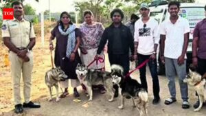 Deserted in the Sun: One Husky found dead on Hyderabad outskirts, 5 rescued | Hyderabad News