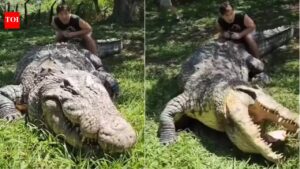 Meet Henry: The world’s oldest crocodile, still alive at 124 and still growing |