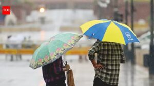 Delhi weather: Rain keeps pollution and mercury in check in April. Delhi News