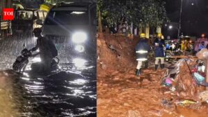 10 dead in Bengaluru rains: Hailstorm, heavy winds unleash chaos in city; watch | Bengaluru News