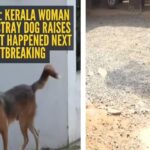 Kerala Woman Collapses: Video inside: Kerala woman collapses, stray dog ​​raises alarm – what happened next is heartbreaking