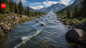 Rivers That Flow Backwards: 6 rivers that flow backward in the world: From the Chicago River in the United States to the Narmada River in India. world news