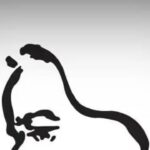 Brewing adda, music & memories of Tagore over tea | Events Movie News