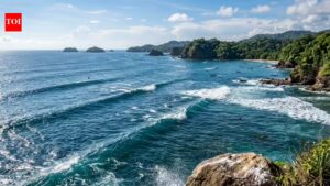 The ocean off Panama just broke a 40-year streak, and scientists are worried |