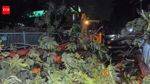 Storm disrupts power supply, topples 150-year-old tree in Dumraon. Patna News