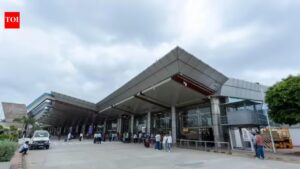 ‘Ensure airlines pass on lower aero chathe benefit to flyers; hike our charges, UDF from July’: PPP airport operators to Govt