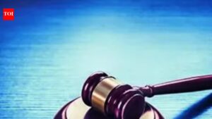 Police doing ‘great disservice’: HC quashes FIR in consensual marriage case. Prayagraj News