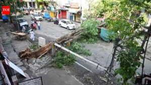 Bengaluru rains: 11cm in 1 hour: Deluge could have filled 30,000 pools, two-thirds of Bengaluru’s lakes | Bengaluru News