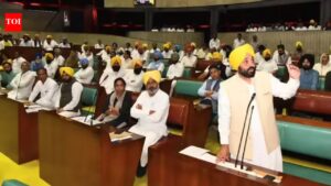 Anglican Church moves high court against Punjab’s anti-sacrilege law. Chandigarh News