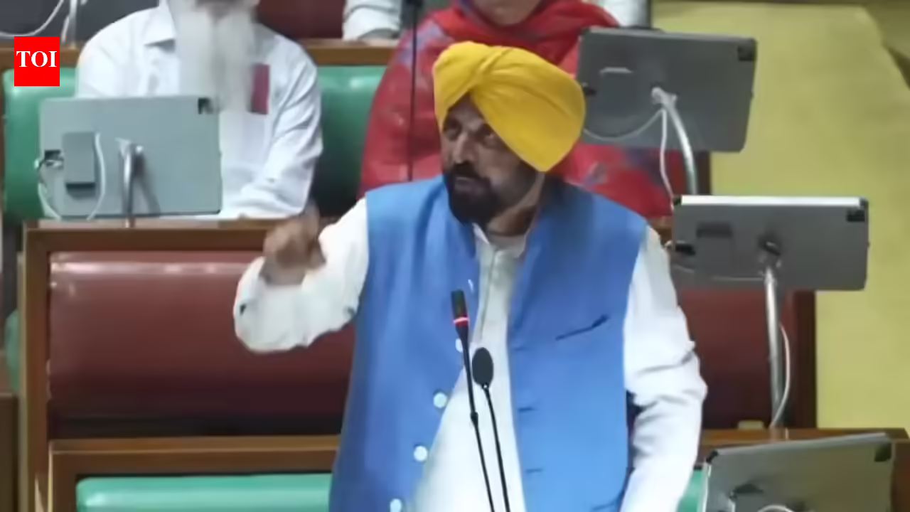 ‘What a shame’: Swati Maliwal accuses Bhagwant Mann of arriving ‘drunk’ in Punjab assembly. India News