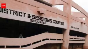 DLSA launches mediation drive to cut court pendency. Gurgaon News