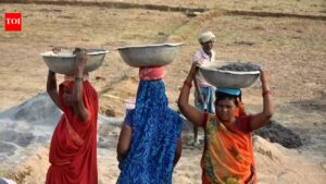 Welfare push for construction workers: Govt announces mobile health vans, mass weddings | Delhi News