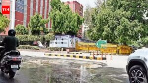 Ashoka Road accident: Killer truck got special permission from Delhi traffic cops despite 5 challans. Delhi News