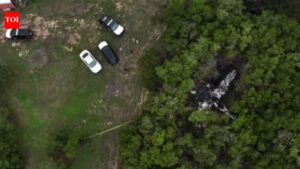 Plane carrying pickleball players crashes in Texas, five killed