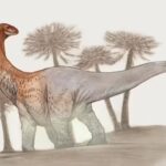 Colossal Dinosaur: Meet Chucarosaurus: The colossal dinosaur so massive its fossils cracked roads; now reshaping the story of the Titanosaurs