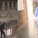 Squirrel scare at Rajasthan’s University, bites several people on campus: Why squirrel bites are harmful and how to keep them away from home and garden