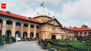 Allahabad HC: No unilateral right over public land for religious gatherings. India News