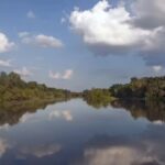 World’s massive Mississippi River shockingly reversed its flow during Hurricane Isaac in 2012 in the United States: Scientists explain what happened | world news