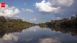 World’s massive Mississippi River shockingly reversed its flow during Hurricane Isaac in 2012 in the United States: Scientists explain what happened | world news