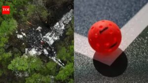 Amarillo Pickleball Club tragedy as entire team dies in Texas plane crash on way to tournament | International Sports News