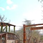 Jungle safari through forests, waterfalls and 21 river crossings begin at Bhoramdeo wildlife sanctuary. Raipur News