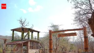 Jungle safari through forests, waterfalls and 21 river crossings begin at Bhoramdeo wildlife sanctuary. Raipur News