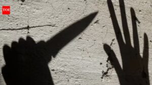 Southend street brawl: Dozens clash, two teens stabbed