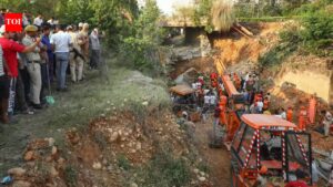 Jammu and Kashmir: Jammu bridge collapse, toll rises to three, 2 engineers suspended. India News