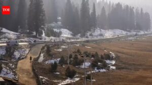 Gulmarg Skiing: Jammu and Kashmir: Warming Gulmarg turns to tech for four-season skiing future. India News