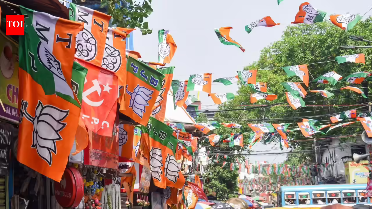 Why the biggest ‘winners’ in these assembly elections may not even be political parties. India News