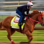 Kentucky Derby 2026 shaken as The Puma withdrew late, leaving 19 horses and changing race expectations | International Sports News