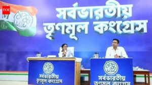 Exit polls to manipulate stock market, Trinamool winning 200+ seats: West Bengal CM Mamata Banerjee | Kolkata News