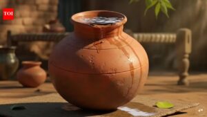 How To Humidify A Room: Social media claim check: Does an earthen pot of water in your AC room really work as a natural humidifier?