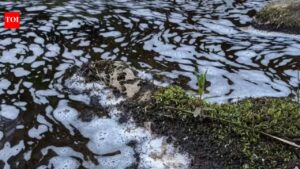 River pollution in Moray leads to fish and bird deaths in environmental disaster.