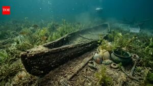 In 2022, a scuba diver’s discovery of a carved log led to an ancient native American canoe.
