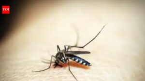 The malaria map: How a 74,000-year war with a tiny parasite forced humanity to rearrange the world |