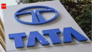 Tata Trusts Board Meeting: Tata Trusts to review nominee directors for Tata Sons on May 8